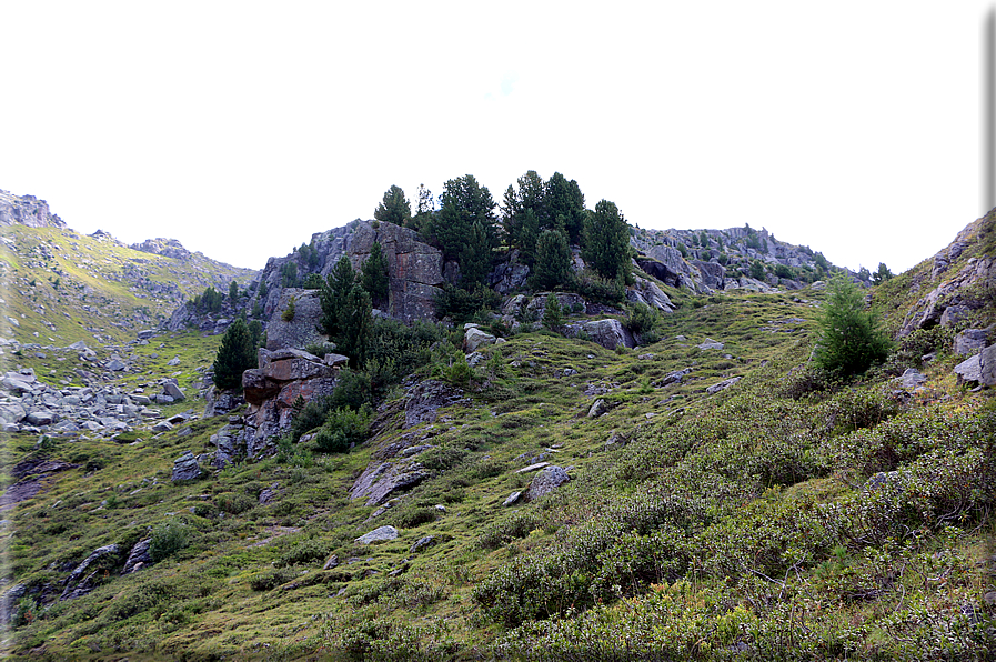 foto Forcella di Montalon